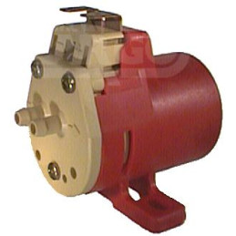 Bomba de Esguicho 12V -...